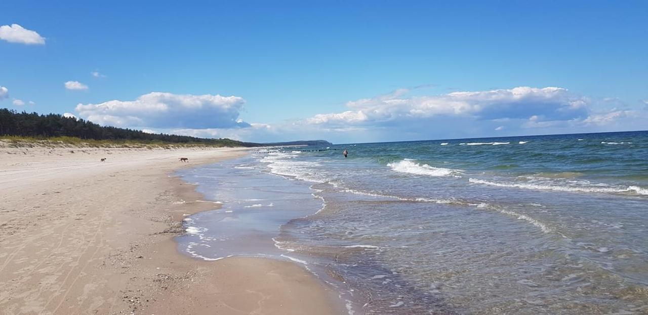Apartament Baltyk 8 Dziwnów Eksteriør bilde